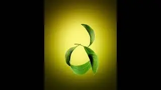 Natural Shampoo Manipulative Advertisement | Made within Photoshop