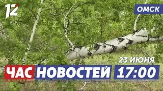 Ловушки в парках / Новые случаи кори / Сбор для Белгорода. Новости Омска
