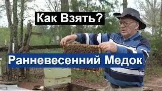 Пасека 