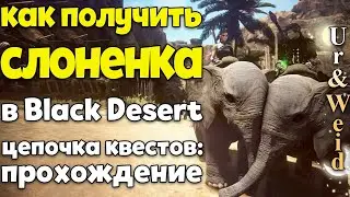 Как Получить Слоненка в Black Desert: цепочка квестов