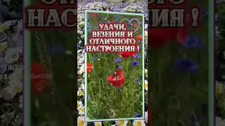 21 июня 2024 г.#доброеутро #открытки #сдобрымутром #пожеланиедлядрузей #открытка #цитаты