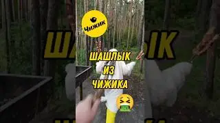 УЖАСНЫЙ ШАШЛЫК ИЗ ЧИЖИКА #шашлык #чижик #мясо #гриль #шаурма #тушенка #пятёрочка #ашан #лес #обзор