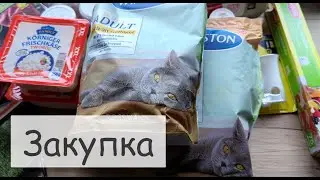 Закупка на неделю для семьи в Германии с ценами. Новые акции.