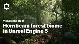 Experience Megascans Trees: European Hornbeam in Unreal Engine 5