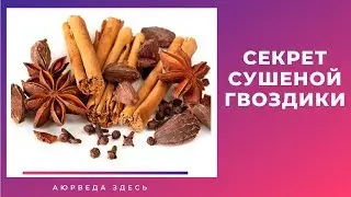 Лечебные свойства гвоздики впечатляют! СЕКРЕТ ГВОЗДИКИ