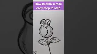 How to draw a rose step to step | rose drawing #yt #art  #shorts