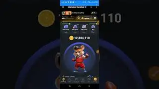 Is hamster 🐹 Kombat truly a scam? watch and confirm the truth