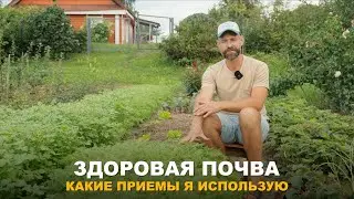 ЗДОРОВАЯ ПОЧВА - ЗАЛОГ ЗДОРОВОГО УРОЖАЯ. Как оздоровить почву в своем огороде.