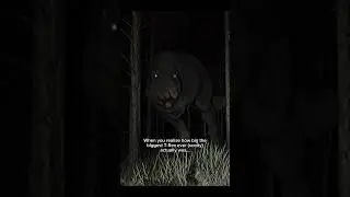 The biggest T-Rex ever was HOW BIG?! 