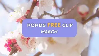 Free Clip Preview - March 2023