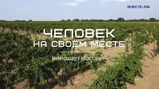 Она делает российское вино. Винодел Богович. Человек на своём месте