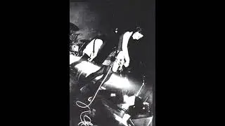 [free] (5+) shoegaze, alternative rock loop kit 2024 - 