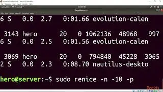 Linux 5 Performance Monitoring and Tuning : Control Process with nice  | packtpub.com