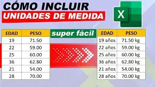 Como incluir UNIDADES DE MEDIDA en EXCEL