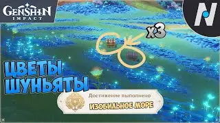 Цветы Шуньяты | GENSHIN IMPACT
