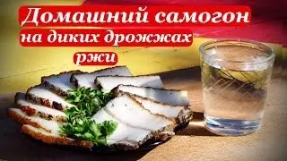 Домашний самогон, брага на диких дрожжах ржи