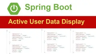 Spring Boot Active User Data Display