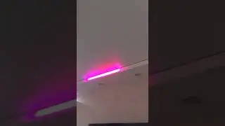 Адресная лента под натяжным потолком