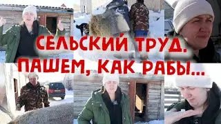 КАК СПРАВЛЯЛАСЬ Я ОДНА? НА ХОЗЯЙСТВЕ ПАШУТ ДВА МУЖИКА!!!