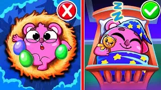 Sweet Dreams Song 💤😴 |Taking Care Of Baby | Kids Songs 🐱🐨🐰🦁And Nursery Rhymes by Baby Zoo