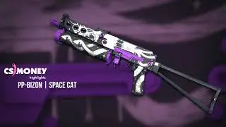 CS:GO | PP-Bizon - Space Cat