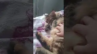 Кто то пилит на работу