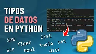 Tipos de Datos en Python [Al Grano Para Principiantes]