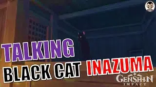 Talking Black Cat in Inazuma | Version 2.1 | Genshin Impact