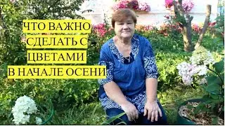 НЕ УПУСТИТЕ ВРЕМЯ! Как подготовить цветы к зиме и защитить от вымерзания