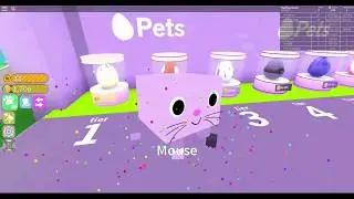 Симулятор домашних животных  Pet simulator  Играть в роблокс с домашним питомцем Roblox 2