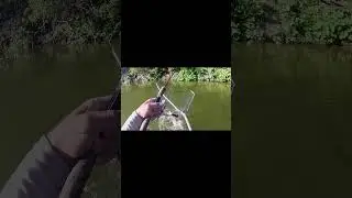 Долгожданный момент 