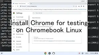 Install Chrome for testing on Chromebook Linux