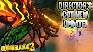 NEW Director's Cut DLC! New Raid Boss, Vault Cards, Class Mods, Skins & Weapons! (Borderlands 3)