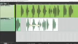 Phone Number Editing Task for Reaper