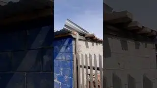 С соседями весело живется