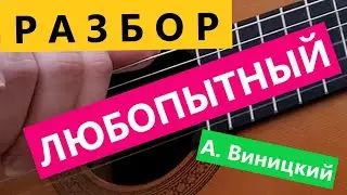 РАЗБОР. ЛЮБОПЫТНЫЙ. ВИНИЦКИЙ.