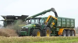 John Deere X9 1100 combine cutting Canola with 45ft. Header | Harvest 2024