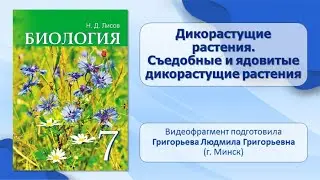 Тема 39. Дикорастущие растения. Съедобные и ядовитые дикорастущие растения