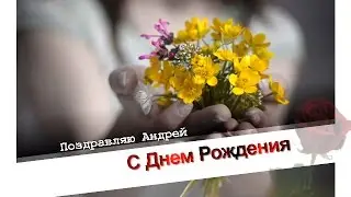 С Днем Рождения Андрей!