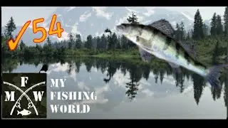 54) My Fishing World как поймать берш !?