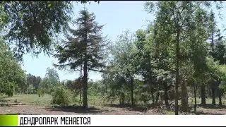 Перемены для столичного дендрария