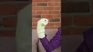 Çorap Kuklası  