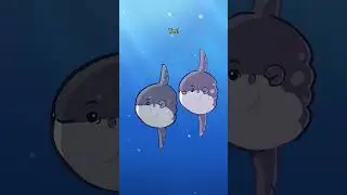 Ocean Sunfish 0 🌕🐡 