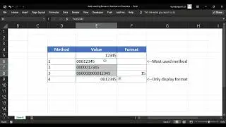 4 Different Methods - How to add Leading Zeroes in Excel to Numbers