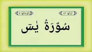 Surah Yaseen | Surah Yasin | Hamza Shahid