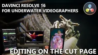 DaVinci Resolve for Underwater Videographers - Editing on the Cut Page