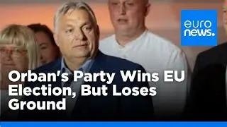 Hungary: Orbans right-wing party wins EU election but loses major support | euronews 🇬🇧