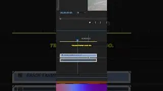 Set DEFAULT TRANSITIONS And EASILY APPLY To Your CLIPS in PREMIERE PRO