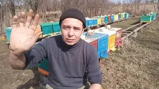 ZOV весны