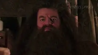 Алфавит с Хагридом